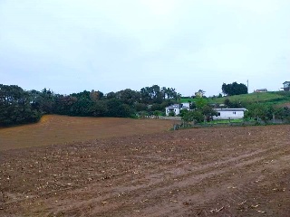 QUINTALONGA 18