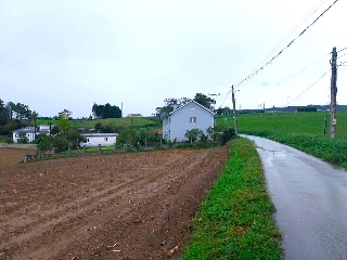 QUINTALONGA 20