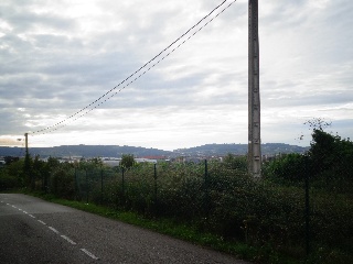 LA CAMPONA 2