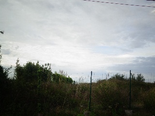 LA CAMPONA 3