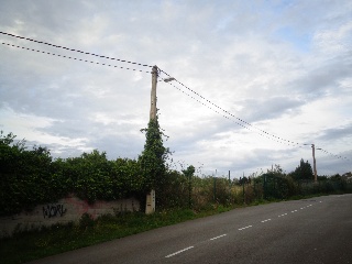LA CAMPONA 4