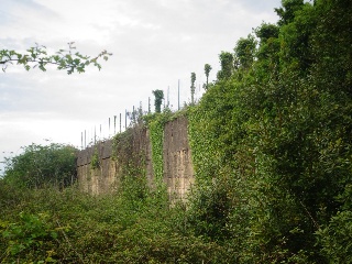 LA CAMPONA 6