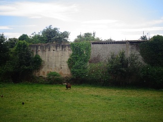 LA CAMPONA 12