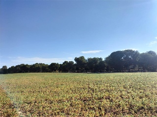 SUELO URB.SR-22(LLA.SILVA 6