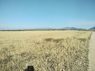 SUELO URB.SR-22(LLA.SILVA 7