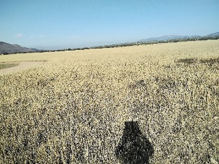 SUELO URB.SR-22(LLA.SILVA 8
