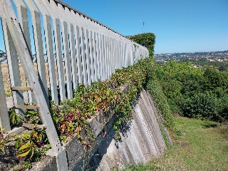 DEL CONTARON 12