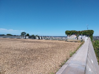 DEL CONTARON 14