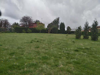 DEL COTARON 2