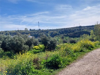 RIO ALAGON 9