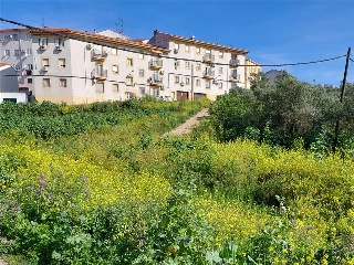 RIO ALAGON 10