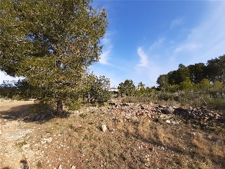 DEU AMON-RA 4