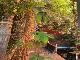 PAU 13