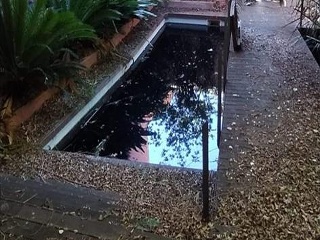 PAU 14