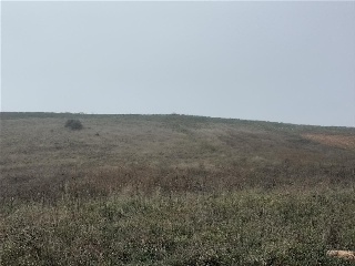 SITIO COLMENARES 2