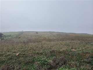SITIO COLMENARES 3
