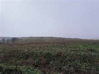SITIO COLMENARES 5