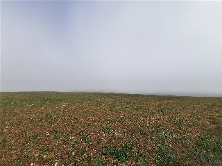 SITIO COLMENARES 7