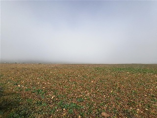 SITIO COLMENARES 9