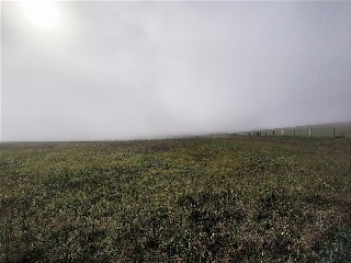 SITIO COLMENARES 11