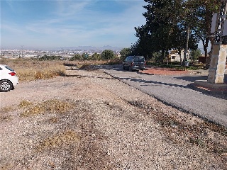 SANGONERA LA VERDE 2