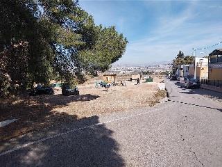 SANGONERA LA VERDE 4