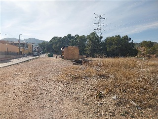 SANGONERA LA VERDE 5