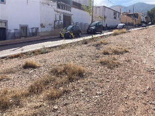 SANGONERA LA VERDE 6