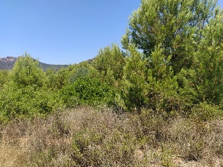 Otros en venta en Benicasim/benicàssim