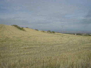 11 PARCELA 53 4