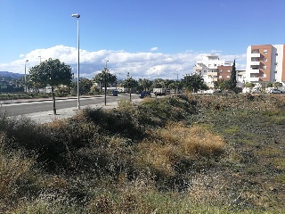ACEITUNEROS 8