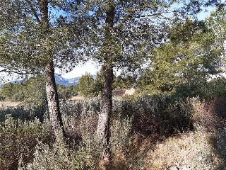 Pisos banco Mont-roig del Camp