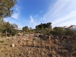 DEU HORUS 7
