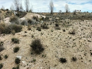 AR 3/12 CAMINEROS 14
