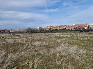 POLIGONO 6 PARCELA 65 ENERIZO 14