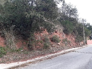 CARRER-25 2