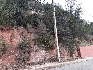 CARRER-25 6