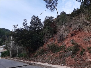 CARRER-25 8