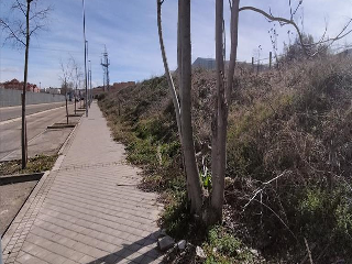 VALDEARGANDA 8