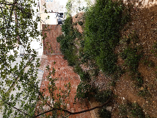 TANCAT DE LA PLANA 7
