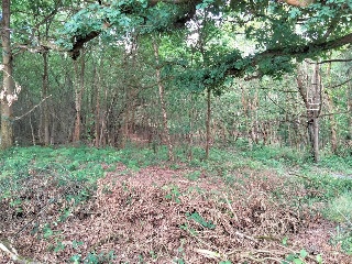 LA CRUZ, PARAJE EL VALLE, SAN CLAUDIO, Poligono 47, Parcela 80 8