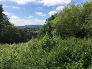LA CRUZ, PARAJE EL VALLE, SAN CLAUDIO, Poligono 47, Parcela 80 10