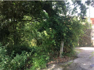 LA CRUZ, PARAJE EL VALLE, SAN CLAUDIO, Poligono 47, Parcela 80 11