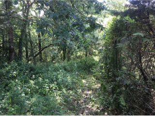 LA CRUZ, PARAJE EL VALLE, SAN CLAUDIO, Poligono 47, Parcela 80 14