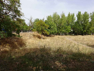 ESTACION 5