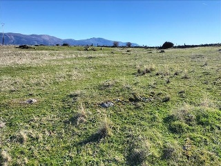 PARAJE BARRANQUILLO, POLIG 3 5