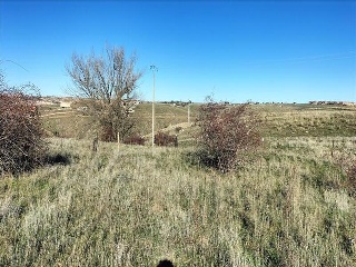 PARAJE BARRANQUILLO, POLIG 3 8