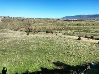 PARAJE BARRANQUILLO, POLIG 3 10