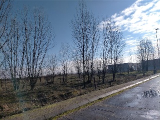 EXTRARRADIO 8