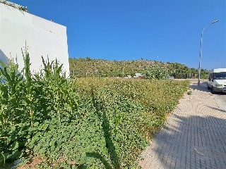 SAVI IBRAHIM 9